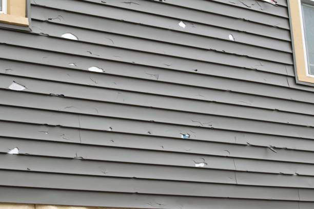 Best Storm Damage Siding Repair  in Kotlik, AK