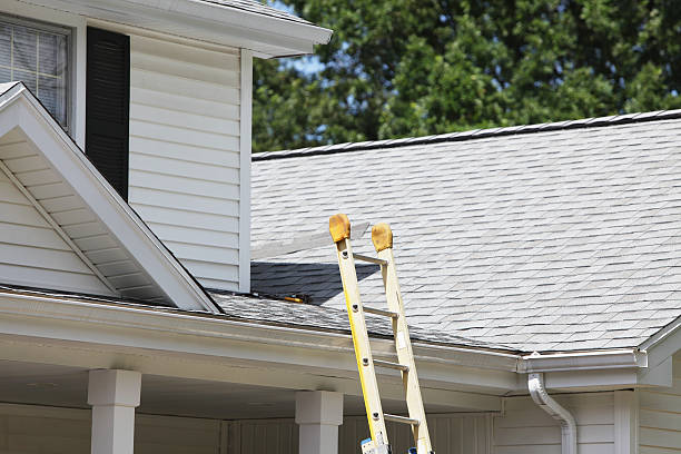 Best Historical Building Siding Restoration  in Kotlik, AK